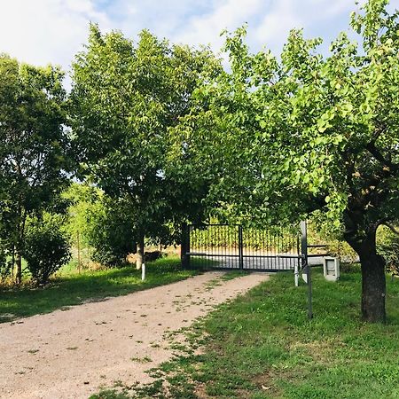 דוסובונו Una Casa Di Campagna מראה חיצוני תמונה