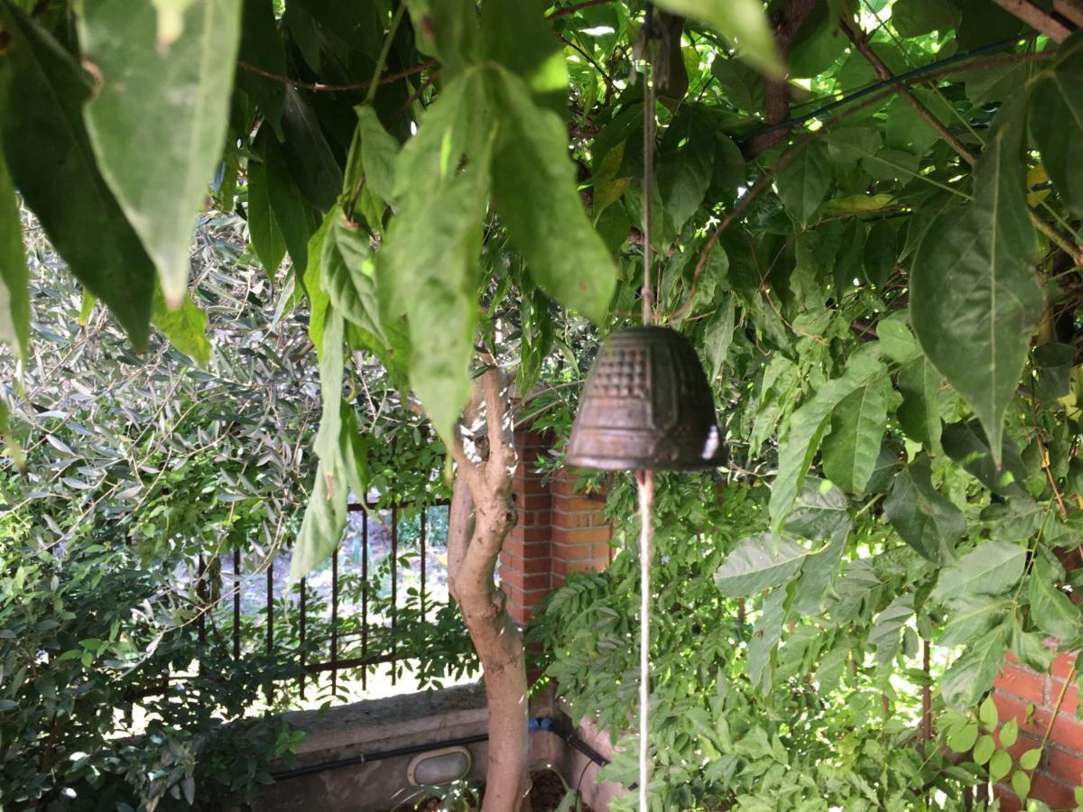 דוסובונו Una Casa Di Campagna מראה חיצוני תמונה